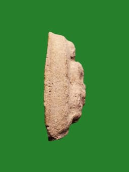 Luang Pho Khon Powder Amulet, Small Stamp, Wat Bang Sae, Kelantan, Malaysia, B.E. 2505 — รูปที่ 2