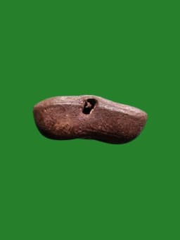 Phra Pid Ta Kwan Khao Mini Coconut Shell B.E. 2500 by Luang Pho Wichian Wat Khruea Wan Chonburi — รูปที่ 3