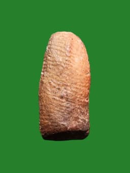 Phra Prok Tua Nuan Somdej Phra Phutthachan (Nuan) Wat On Amulet B.E. 2495 Clay — รูปที่ 3