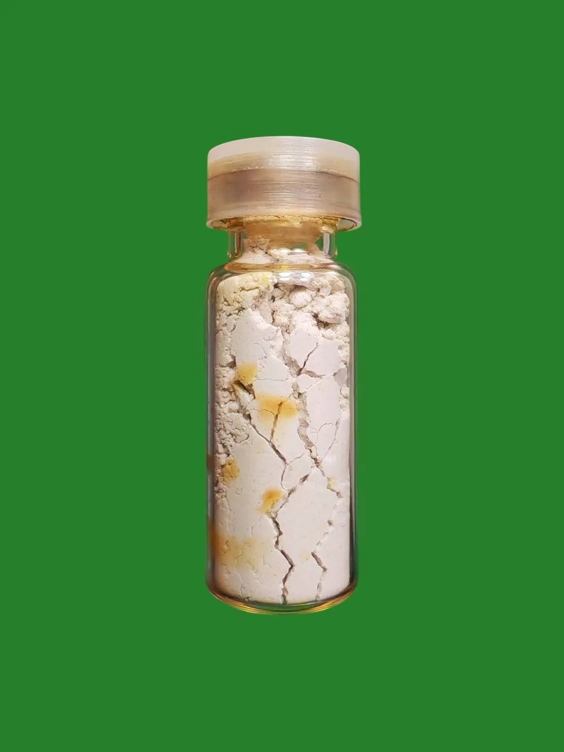 Elephant Wan Mixed with Kholong Powder Great Charm by Ajarn Chum Chaiyakiri B.E. 2519