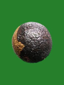 Luk Om Amulet - Wan Chan Mak Paste with Luang Pu Yem Hair Strands, Wat Sam Ngam, Nakhon Pathom, B.E. 2554 — รูปที่ 2
