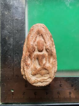 Khun Phan Khai Pha Amulet by Luang Pho Thiro, Wat Pa Lelai Worawiharn, Suphan Buri, Early Period B.E. 2495-2499 — รูปที่ 4