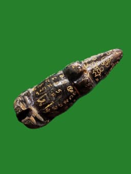 Moo Maha Lap Khao Khwai Kaek Blessed Amulet by Luang Pho Enek Wat Preedaram Nakhon Pathom B.E. 2568 — รูปที่ 4