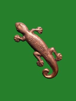 Gecko Tail Wag Herb Powder Luang Pu Hong 2548 — รูปที่ 1