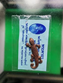 Gecko Tail Wag Herb Powder Luang Pu Hong 2548 — รูปที่ 4
