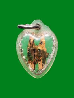 Pair of Sarika Birds Carved Wood Amulet with Chanting Marks and Wax Seal, Luang Pho Khen, Wat Tham Khao E-To, Year 2509 — รูปที่ 1