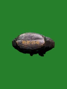 Rooster Amulet (Luang Pu Suang Model Upper Dip Saturn 5) Lead/Copper - Wat Tham Phrom Sawat, B.E. 2555 — รูปที่ 3