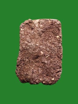 Luang Pho Bo Powder Amulet, 1st Edition, Wat Silachol Khaet, Nakhon Si Thammarat, B.E. 2505 — รูปที่ 2